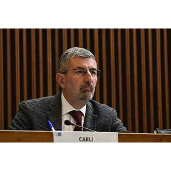 Andrea Carli (Pd) - Andrea Carli (Pd)