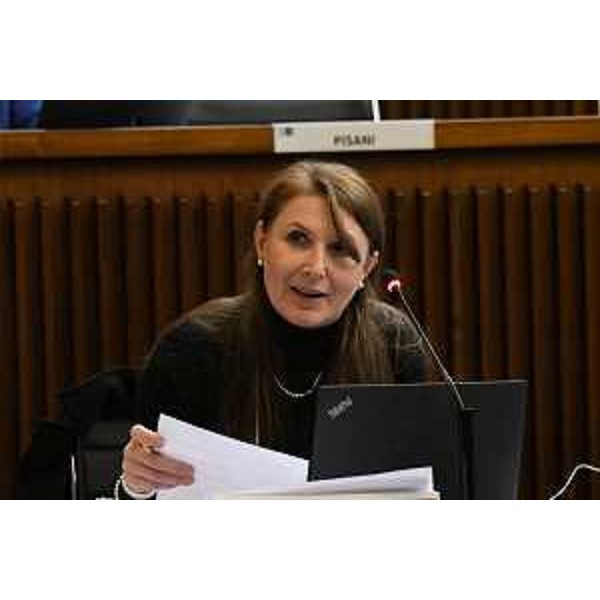 Rosaria Capozzi (M5S) - Rosaria Capozzi (M5S)