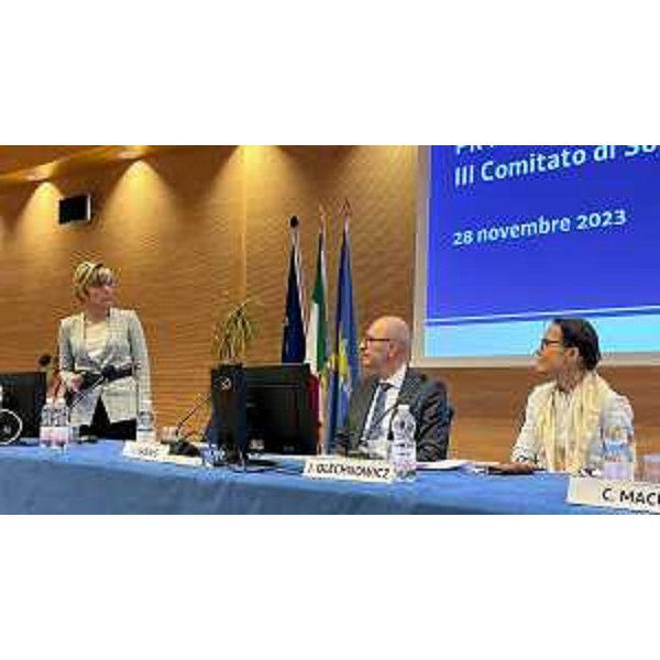 L'assessore Zilli interviene al Comitato di sorveglianza riunito a Udine - L'assessore Zilli interviene al Comitato di sorveglianza riunito a Udine 