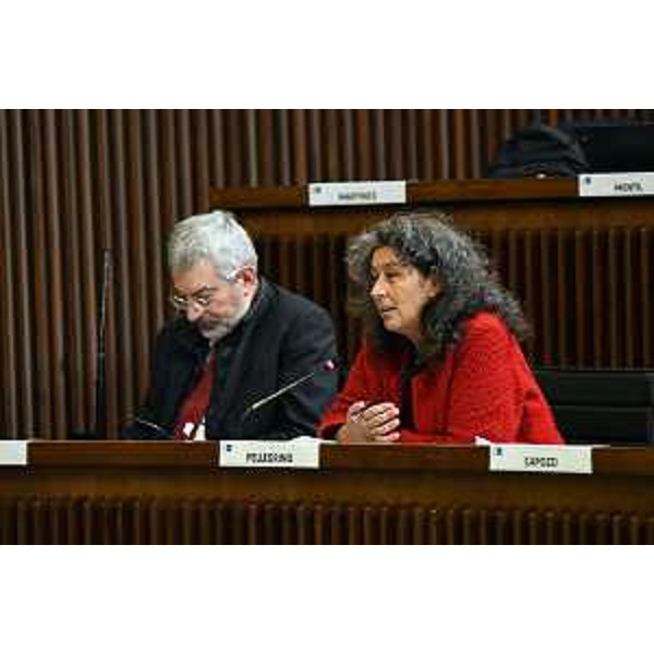 Furio Honsell (Open) e Serena Pellegrino (Avs) - Furio Honsell (Open) e Serena Pellegrino (Avs)