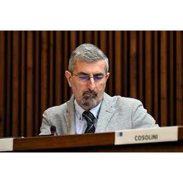 Andrea Carli (Pd) - Andrea Carli (Pd)