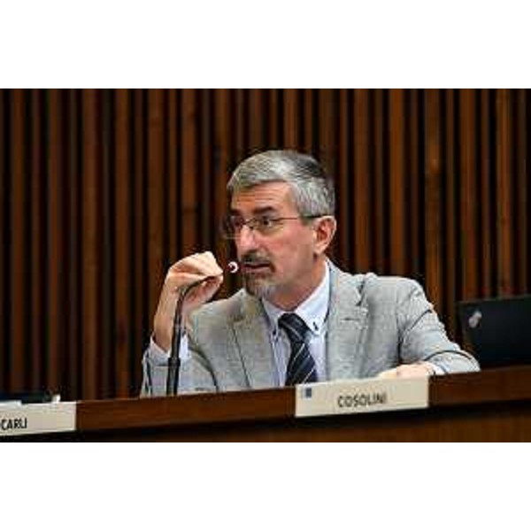 Andrea Carli (Pd) - Andrea Carli (Pd)