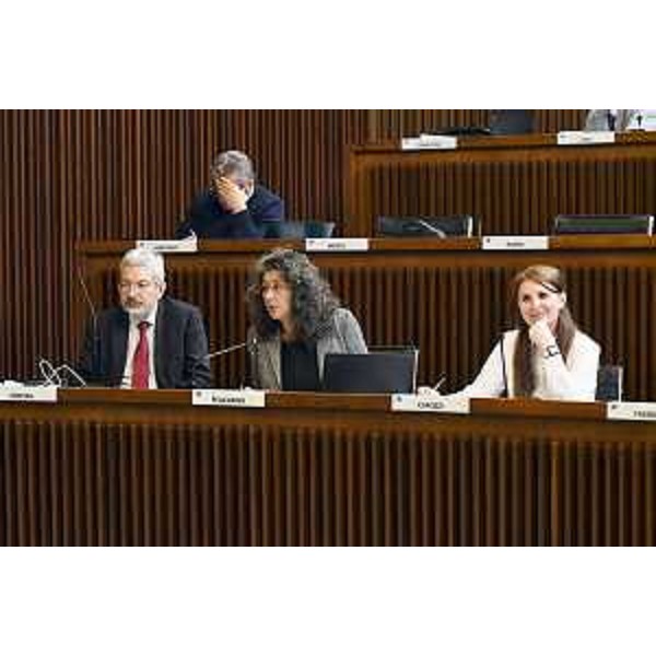 Da Sx: Honsell (Open), Pellegrino (Avs), Capozzi (M5S) - Da Sx: Honsell (Open), Pellegrino (Avs), Capozzi (M5S)