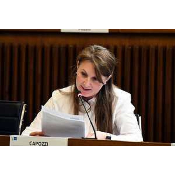 Rosaria Capozzi (M5S) - Rosaria Capozzi (M5S)