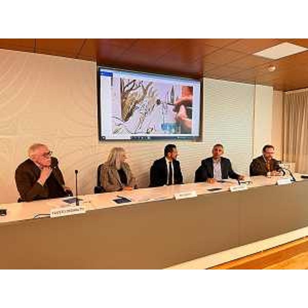 L'assessore regionale alle Lingue minoritarie Pierpaolo Roberti (a destra) alla presentazione dei nuovi progetti ludico-educativi dell'Agjenzie Regjonâl pe Lenghe Furlane (Arlef) destinati alle bambine e ai bambini, alla quale hanno preso parte, tra gli altri, il presidente dell'agenzia Eros Cisilino, la presidente e co-direttrice artistica del Css Teatro Stabile di Innovazione del Friuli Venezia Giulia Rita Maffei e il direttore dell'Accademia di Belle Arti di Udine "G.B. Tiepolo" Fausto Deganutti. - L'assessore regionale alle Lingue minoritarie Pierpaolo Roberti (a destra) alla presentazione dei nuovi progetti ludico-educativi dell'Agjenzie Regjonâl pe Lenghe Furlane (Arlef) destinati alle bambine e ai bambini, alla quale hanno preso parte, tra gli altri, il presidente dell'agenzia Eros Cisilino, la presidente e co-direttrice artistica del Css Teatro Stabile di Innovazione del Friuli Venezia Giulia Rita Maffei e il direttore dell'Accademia di Belle Arti di Udine "G.B. Tiepolo" Fausto Deganutti.