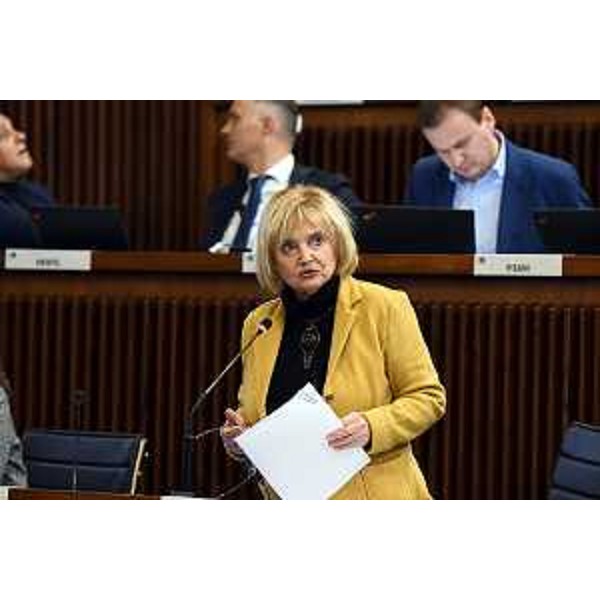 Laura Fasiolo (Pd) - Laura Fasiolo (Pd)