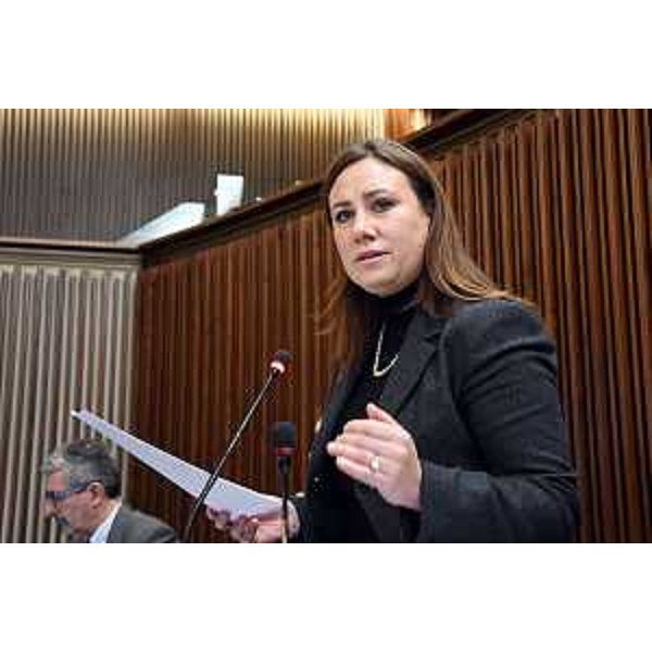 Manuela Celotti (Pd) - Manuela Celotti (Pd)