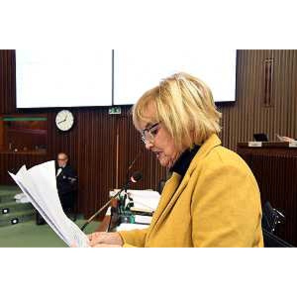 Laura Fasiolo (Pd) - Laura Fasiolo (Pd)