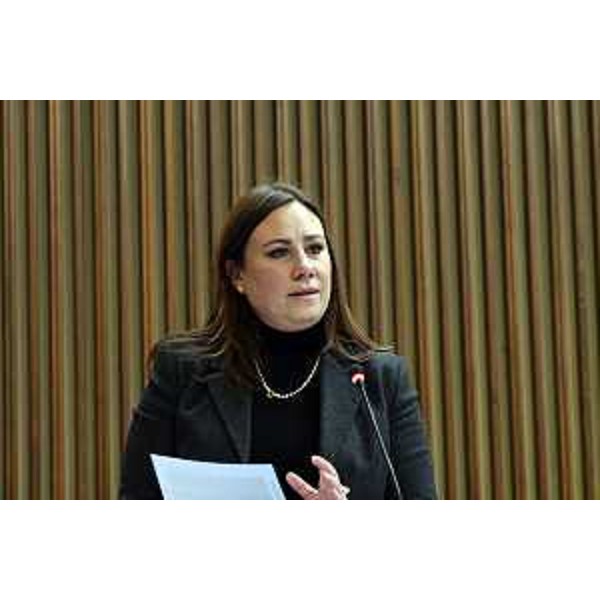 Manuela Celotti (Pd) - Manuela Celotti (Pd)