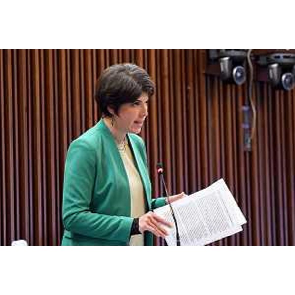 Giulia Massolino (Patto-Civica Fvg) - Giulia Massolino (Patto-Civica Fvg)