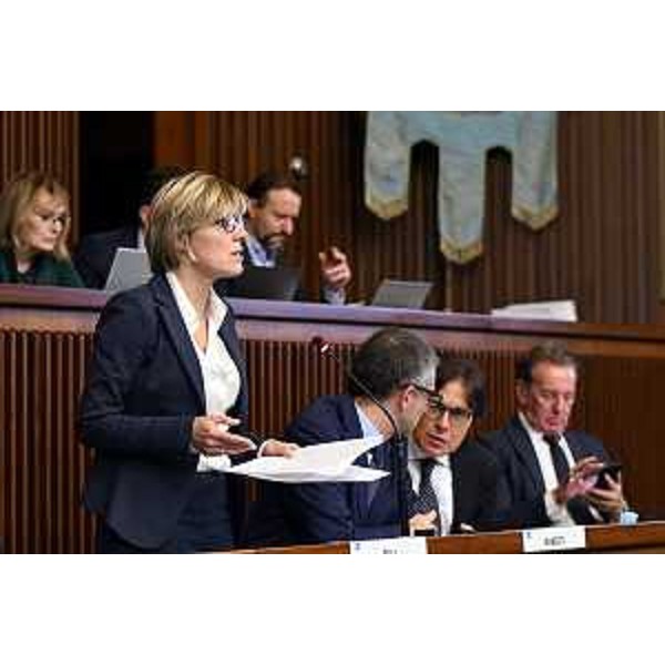 L'assessore Fvg alle Finanze, Barbara Zilli - L'assessore Fvg alle Finanze, Barbara Zilli 