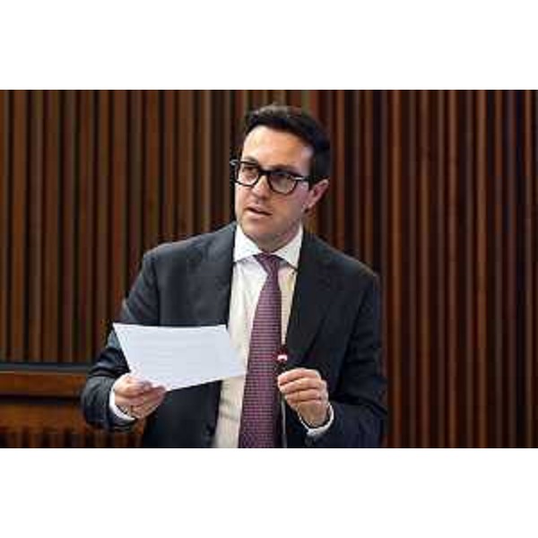 Igor Treleani (FdI) - Igor Treleani (FdI)