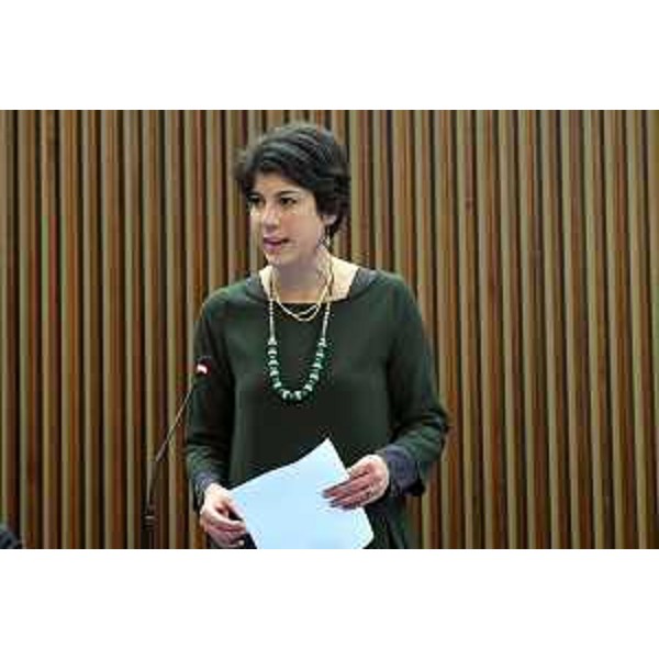 Giulia Massolino (Patto-Civica Fvg) - Giulia Massolino (Patto-Civica Fvg)