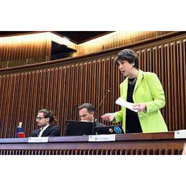 Giulia Massolino (Patto-Civica Fvg) - Giulia Massolino (Patto-Civica Fvg)