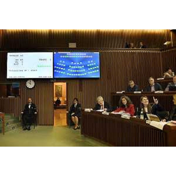 La soddisfazione di Rosaria Capozzi (M5S) dopo il via libera al suo emendamento - La soddisfazione di Rosaria Capozzi (M5S) dopo il via libera al suo emendamento