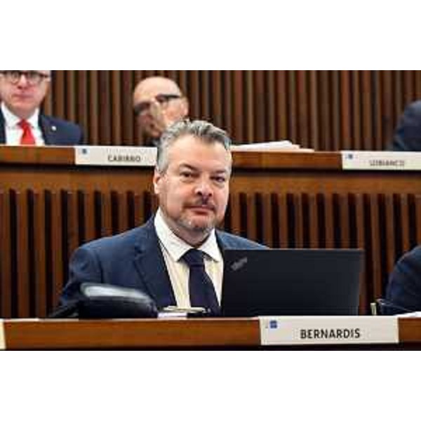 Diego Bernardis (Fedriga Presidente) - Diego Bernardis (Fedriga Presidente)