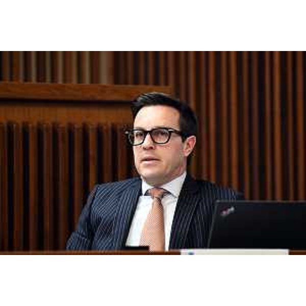 Igor Treleani (Fdi) - Igor Treleani (Fdi)