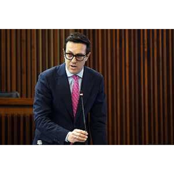 Igor Treleani (Fdi) - Igor Treleani (Fdi)