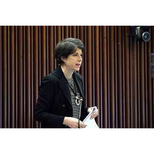 Giulia Massolino (Patto-Civica Fvg) - Giulia Massolino (Patto-Civica Fvg)