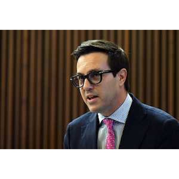 Igor Treleani (FdI) - Igor Treleani (FdI)