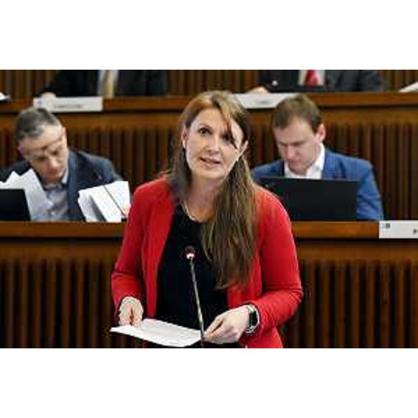 Rosaria Capozzi (M5S) - Rosaria Capozzi (M5S)