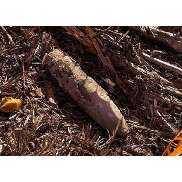 L'ordigno rinvenuto a Monfalcone nell'area destinata ad accogliere i sedimi di dragaggio - L'ordigno rinvenuto a Monfalcone nell'area destinata ad accogliere i sedimi di dragaggio