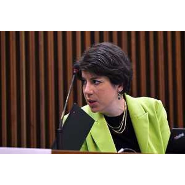 Giulia Massolino (Patto per l'autonomia-Civica Fvg) - Giulia Massolino (Patto per l'autonomia-Civica Fvg)