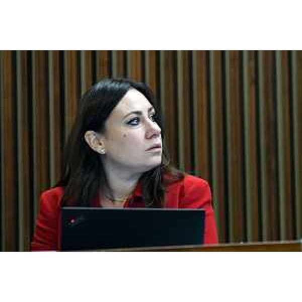 Manuela Celotti (Pd) - Manuela Celotti (Pd)