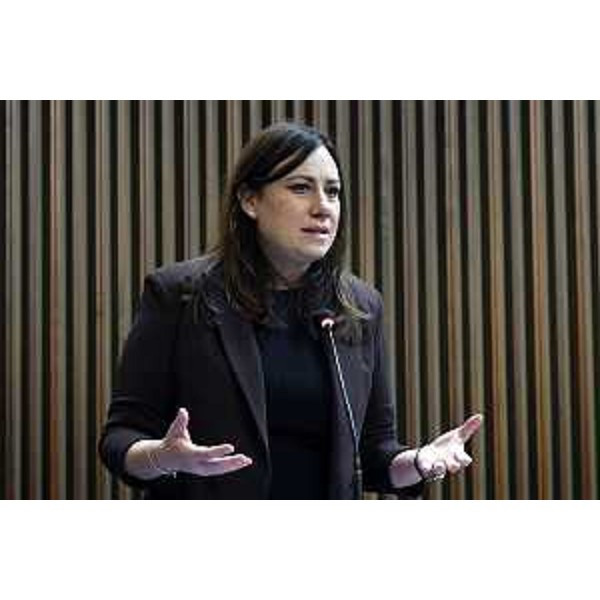 Manuela Celotti (Pd), che ha richiesto l'audizione sul tema del personale nei Comuni - Manuela Celotti (Pd), che ha richiesto l'audizione sul tema del personale nei Comuni