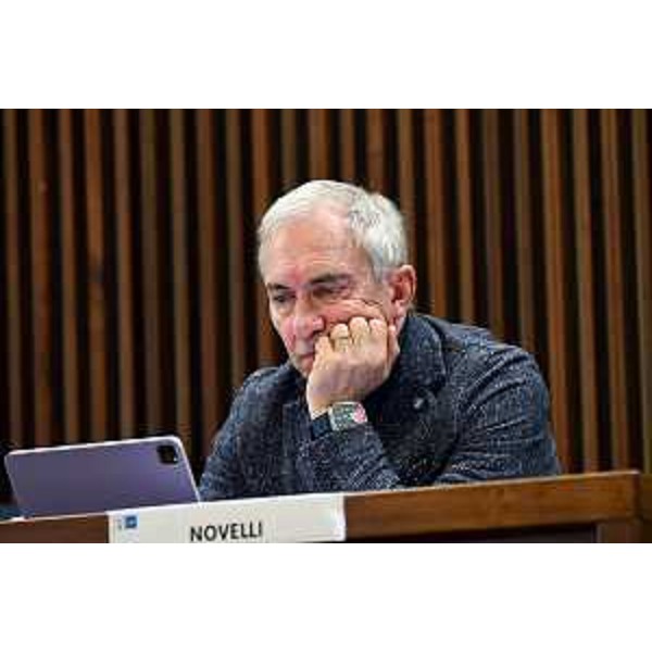 Roberto Novelli (FI) - Roberto Novelli (FI)