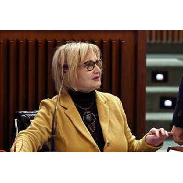 Laura Fasiolo (Pd) - Laura Fasiolo (Pd)