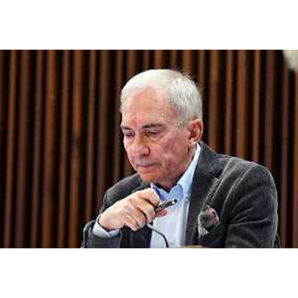 Roberto Novelli (FI) - Roberto Novelli (FI)