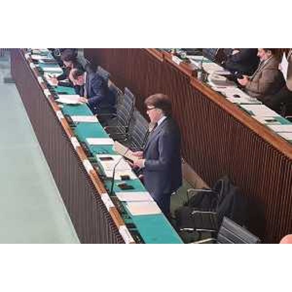 L'assessore regionale Sergio Emidio Bini durante del suo intervento in Aula - L'assessore regionale Sergio Emidio Bini durante del suo intervento in Aula