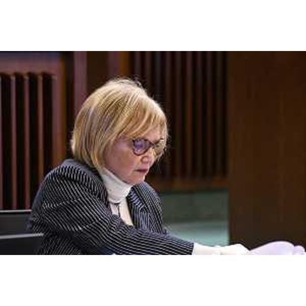 Laura Fasiolo (Pd) - Laura Fasiolo (Pd)