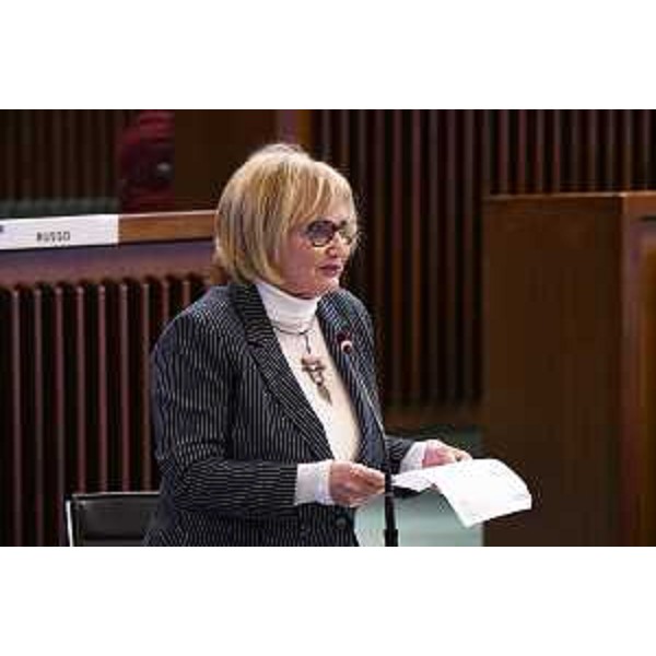 Laura Fasiolo (Pd) - Laura Fasiolo (Pd)