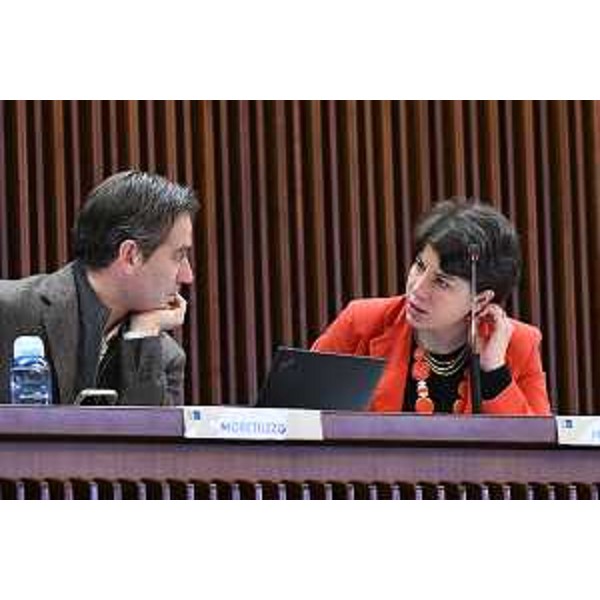 Giulia Massolino, Massimo Moretuzzo (Patto-Civica) - Giulia Massolino, Massimo Moretuzzo (Patto-Civica)