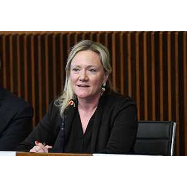 Elena D'Orlando, presidente della Commissione paritetica, durante il suo intervento in aula - Elena D'Orlando, presidente della Commissione paritetica, durante il suo intervento in aula