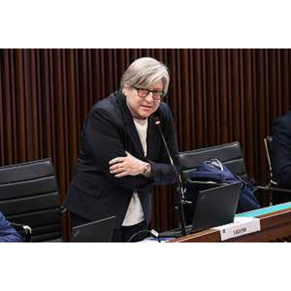 Simona Liguori (Patto per l'autonomia-Civica Fvg) - Simona Liguori (Patto per l'autonomia-Civica Fvg)