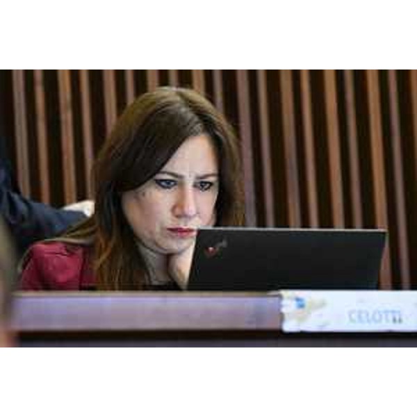 Manuela Celotti (Partito democratico) - Manuela Celotti (Partito democratico)