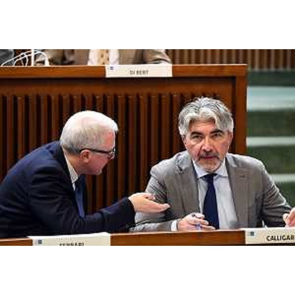 Antonio Calligaris (capogruppo della Lega) conversa con il capogruppo di FI, Andrea Cabibbo (a sinistra nella foto) - Antonio Calligaris (capogruppo della Lega) conversa con il capogruppo di FI, Andrea Cabibbo (a sinistra nella foto)