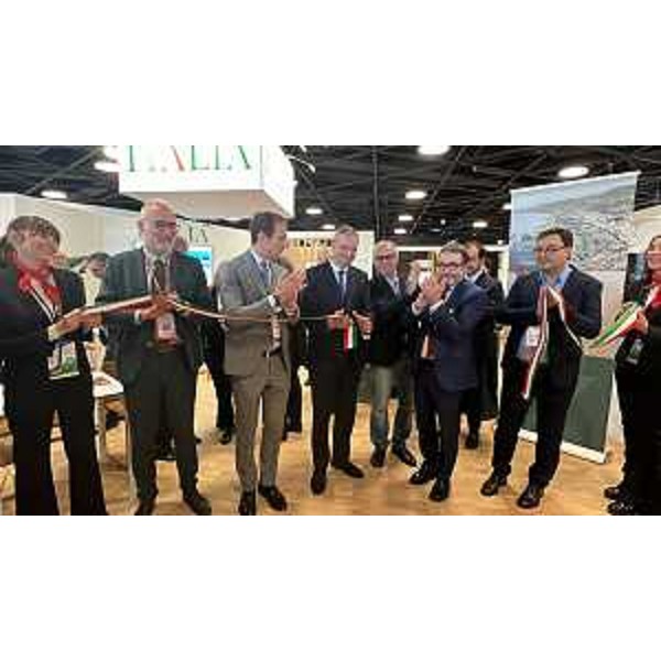 Al centro il governatore del Friuli Venezia Giulia Massimiliano Fedriga, alla sua destra il console Emilio Lolli e alla sua sinistra il Ceo di Rx France Michel Filzi - Al centro il governatore del Friuli Venezia Giulia Massimiliano Fedriga, alla sua destra il console Emilio Lolli e alla sua sinistra il Ceo di Rx France Michel Filzi