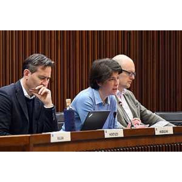 In primo piano, Massimo Moretuzzo e Giulia Massolino (Patto per l'Autonomia-Civica Fvg) - In primo piano, Massimo Moretuzzo e Giulia Massolino (Patto per l'Autonomia-Civica Fvg)