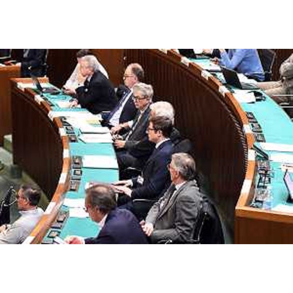 Un gruppo di auditi - Un gruppo di auditi 