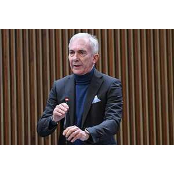 Roberto Novelli (Forza Italia) - Roberto Novelli (Forza Italia)