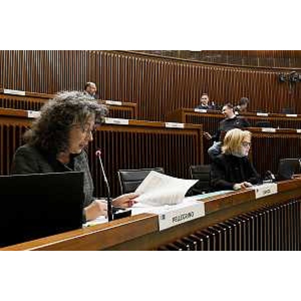 L'intervento di Serena Pellegrino (Avs) - L'intervento di Serena Pellegrino (Avs)