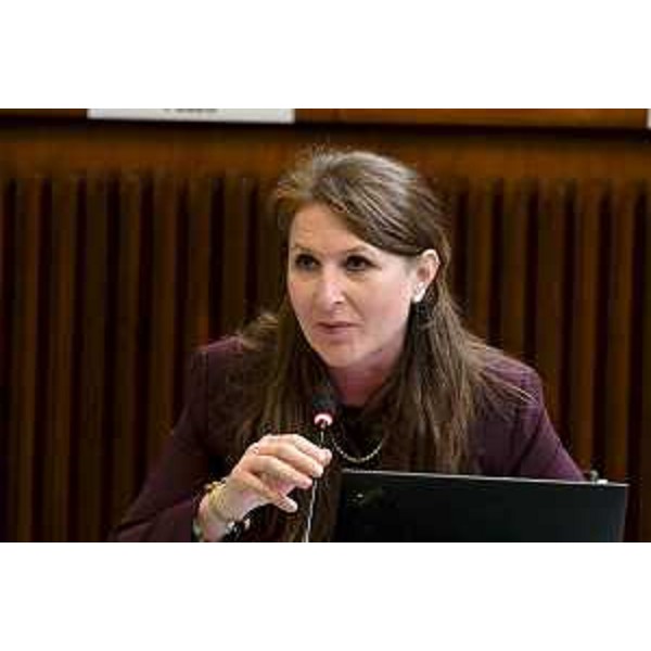 Rosaria Capozzi (M5S) - Rosaria Capozzi (M5S)