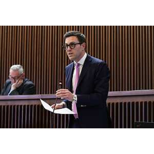 Igor Treleani (FdI) - Igor Treleani (FdI)