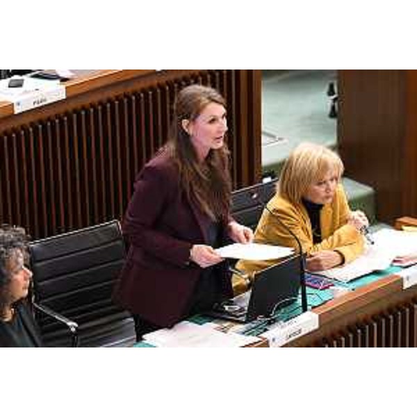 L'intervento di Rosaria Capozzi (M5S) - L'intervento di Rosaria Capozzi (M5S)