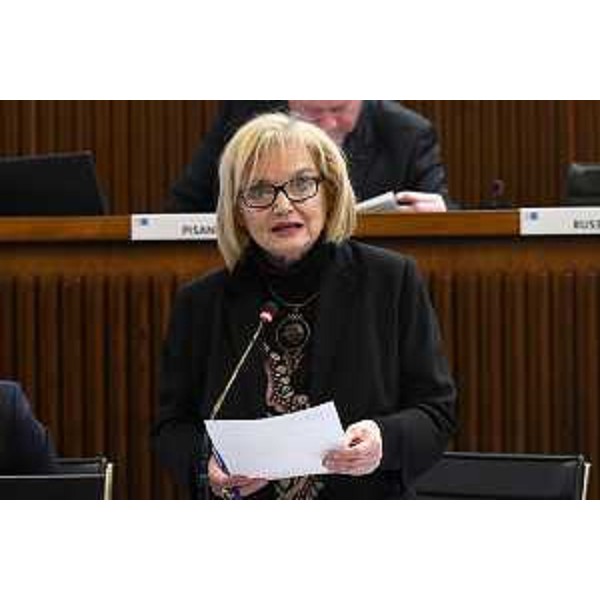 Laura Fasiolo (Pd) - Laura Fasiolo (Pd)