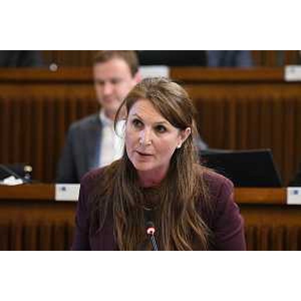Rosaria Capozzi (M5S) - Rosaria Capozzi (M5S)